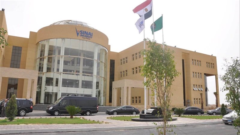 جامعة سيناء 
