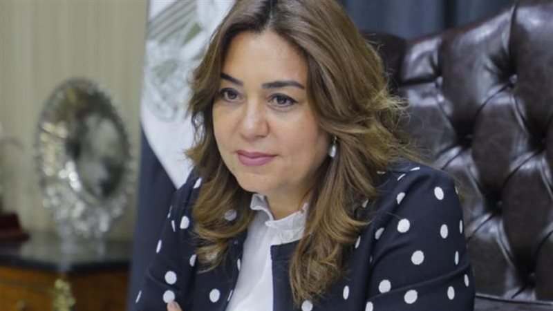 محافظ دمياط 