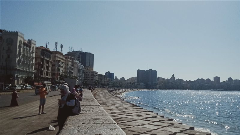 الاسكندريه 
