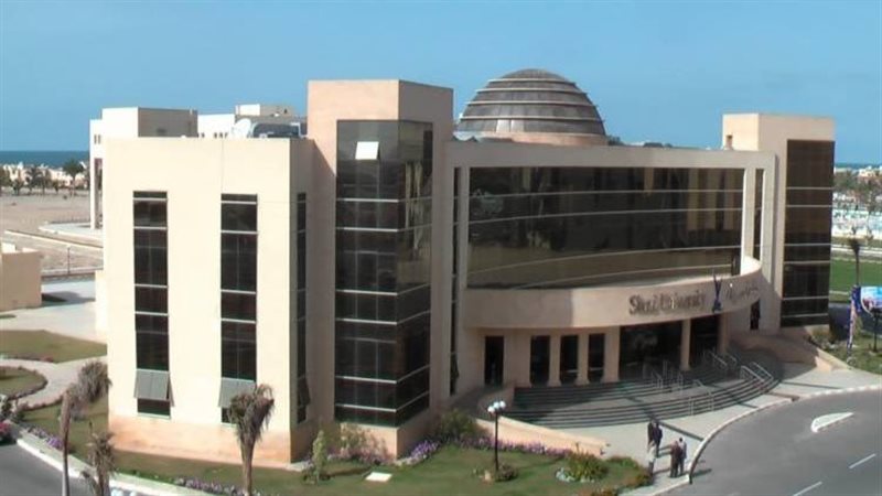 جامعة سيناء