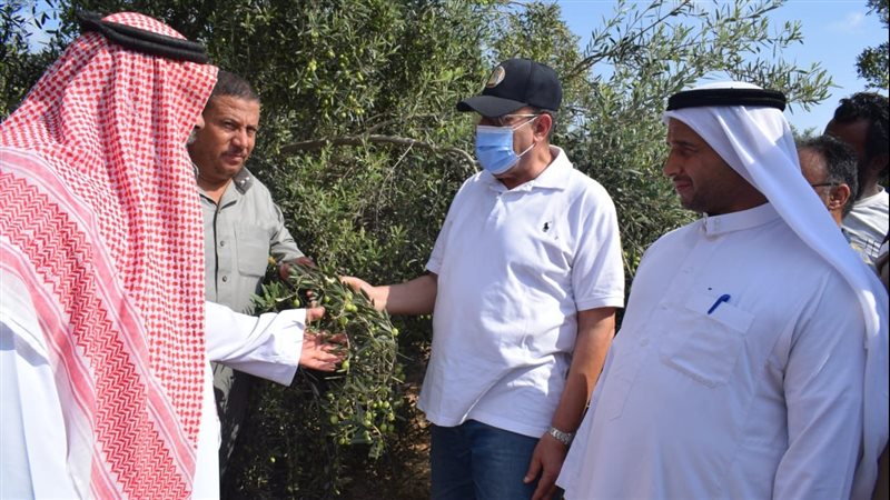 محافظ شمال سيناء