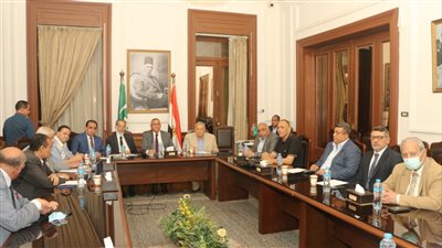 المكتب التنفيذي بالوفد يقرر التصدي لمتأخرات الضرائب بعيدا عن ودائع الحزب