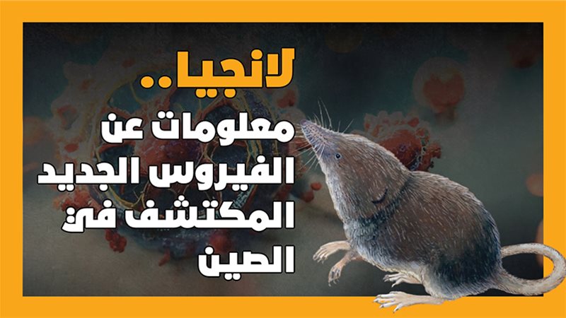 فيروس لانجيا