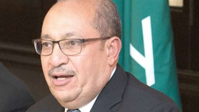 المهندس مجدى القاضى