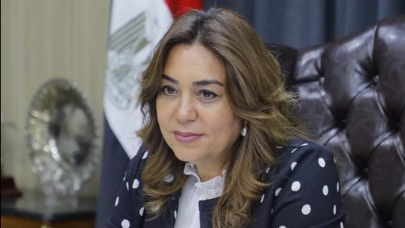 محافظ دمياط