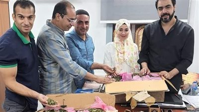ضبط 3 طرود مخدرات بمطار القاهرة قبل شحنها