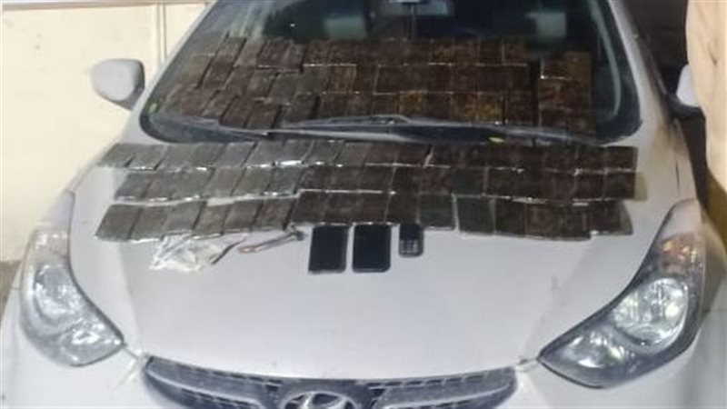 مخدر الحشيش 