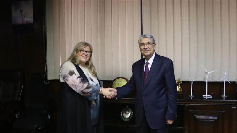 وزير الكهرباء وسفيرة