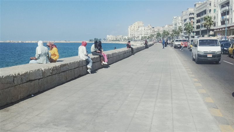 الاسكندريه 