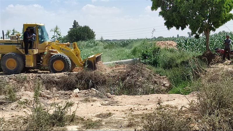 الإسكندرية 