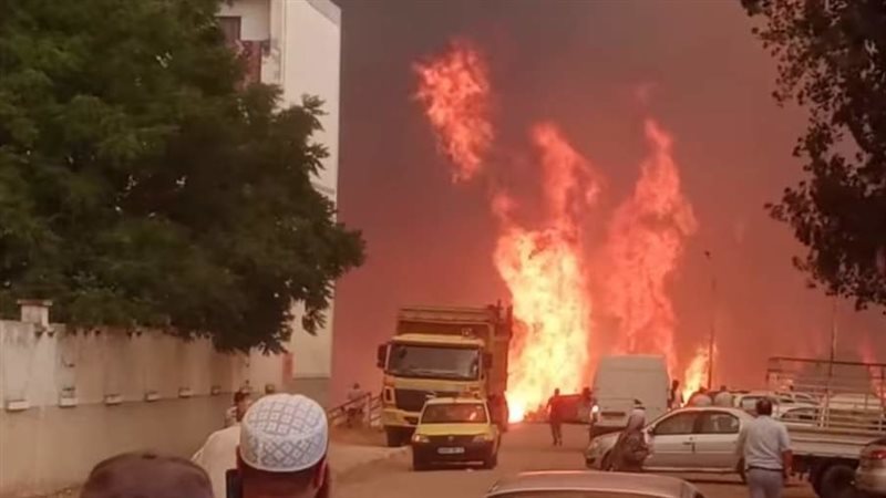 حرائق الجزائر