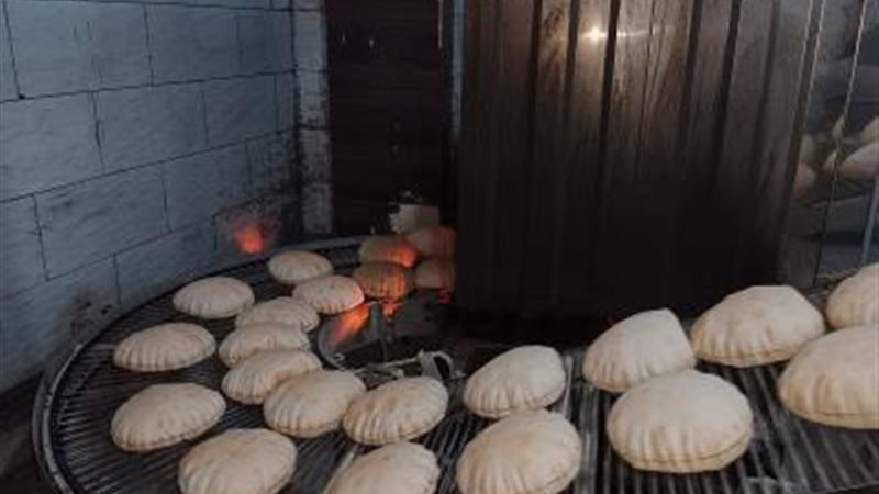 حملة تموينية بالدقهلية