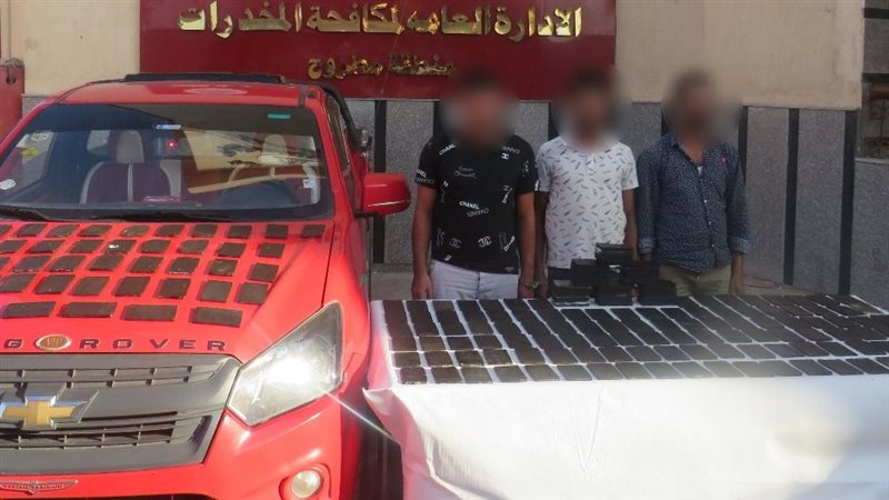 مخدر الحشيش 