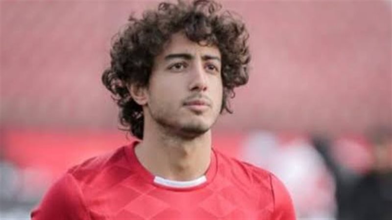 محمد هانى