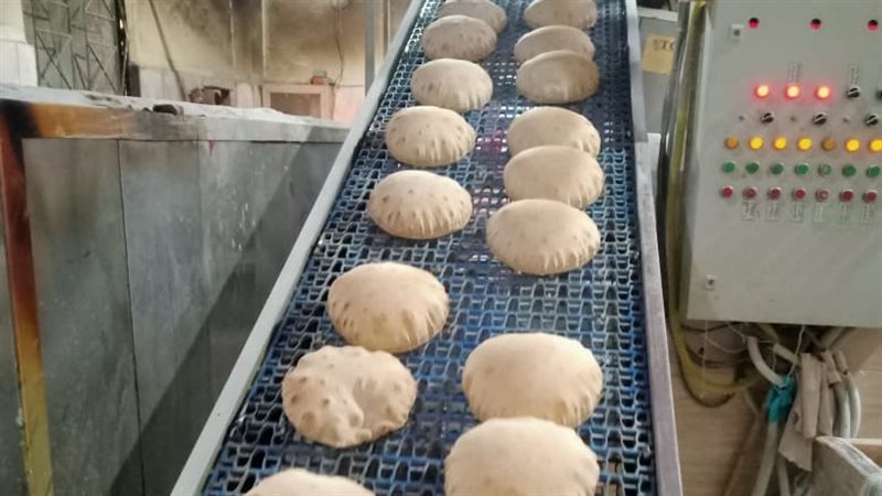 حملات تموينية بالدقهلية