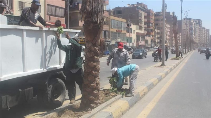 حملة نظافة في الجيزة