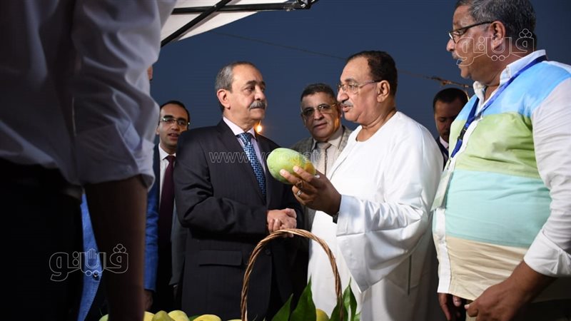 مهرجان الإسماعيلية