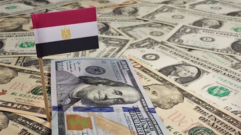 النقد الأجنبي 