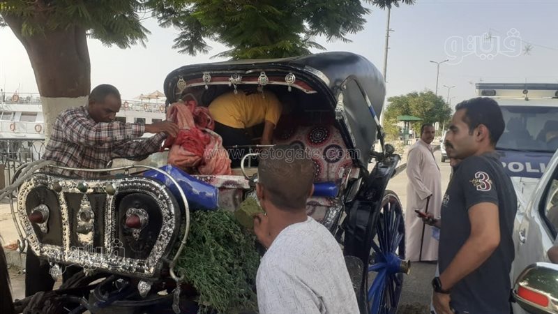 حملة تفتيشيه فى اسوان