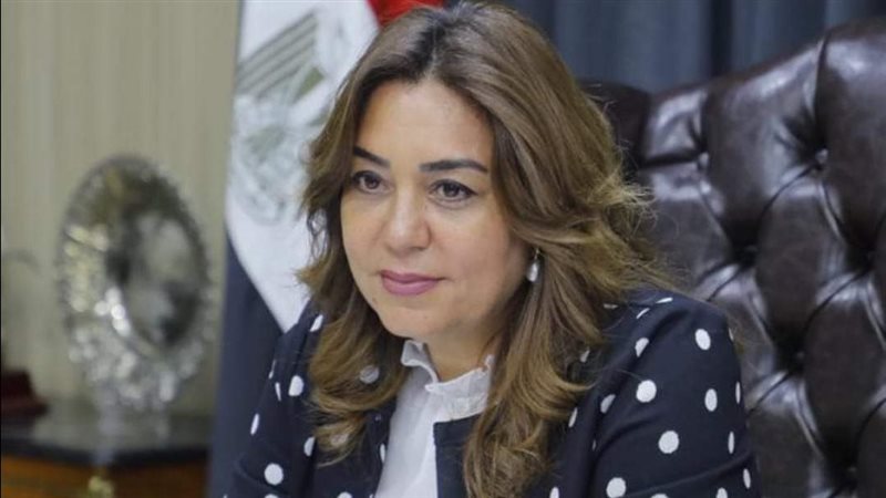 محافظ دمياط