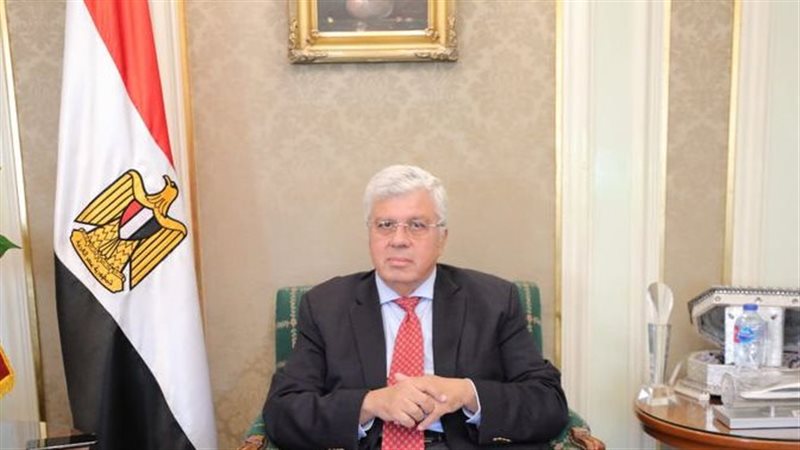 ا.د محمد أيمن عاشور