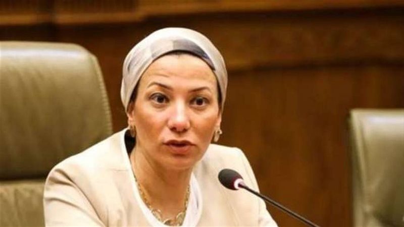 ياسمين فؤاد وزيرة