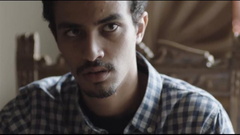 أحمد غزي