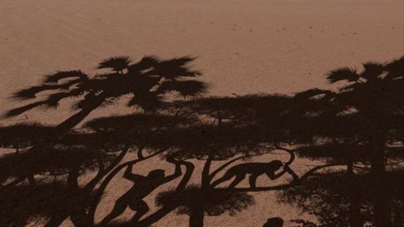 إنسان توماي 