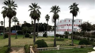 مديرة حدائق انطونيادس بالإسكندرية تكشف حقيقة قطع أشجار نادرة خلال عملية التطوير |صور
