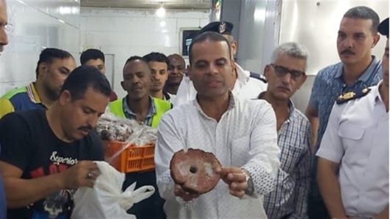 ضبط لحوم فاسدة بالجيزة