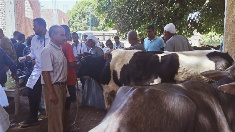 قافلة بيطرية بأسيوط