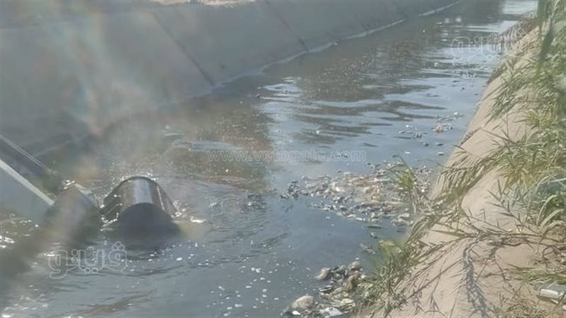 تطهير ترعة سجين من