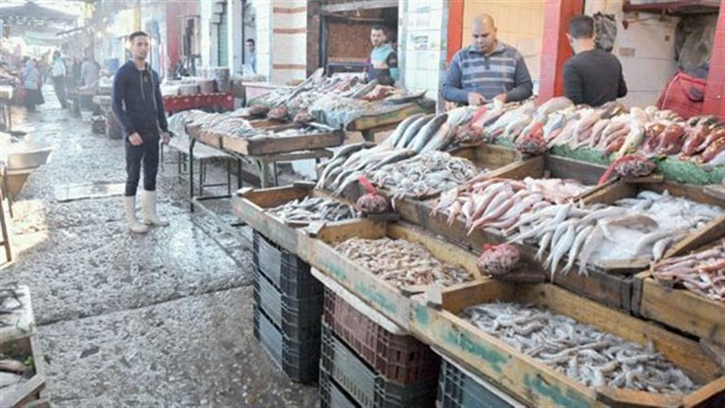 أسعار الأسماك