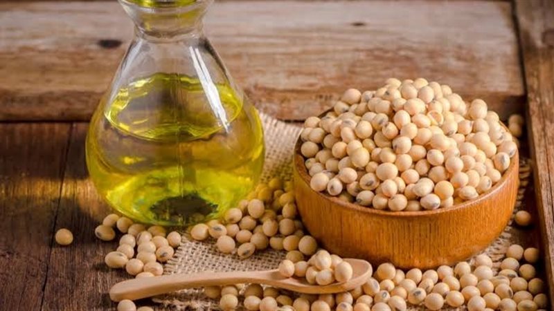 الحبوب وزيت الصويا