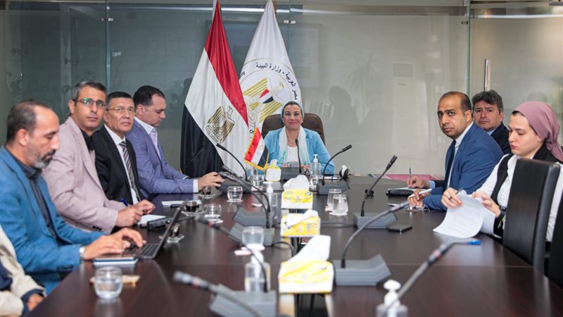 تعاون مصري اماراتي