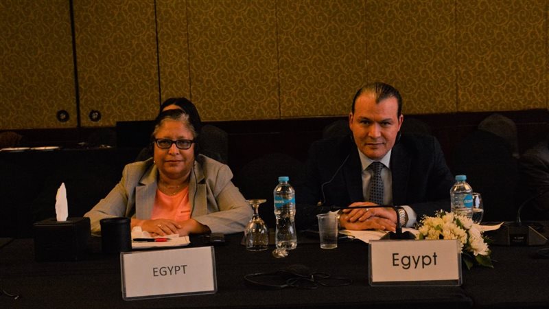 مؤتمر الأفارقة العرب