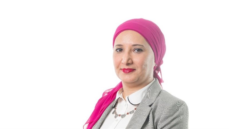 المهندسة دينا عبد