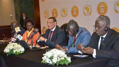 التنمية المحلية تطرح العديد من المبادرات لتمكين القارة الأفريقية في مواجهة التغيرات المناخية