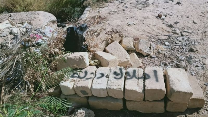 جانب من قطعة الأرض