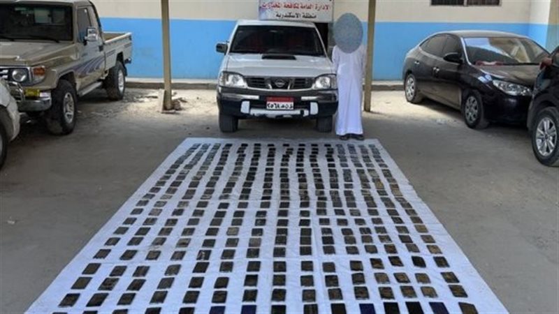 مخدر الحشيش 