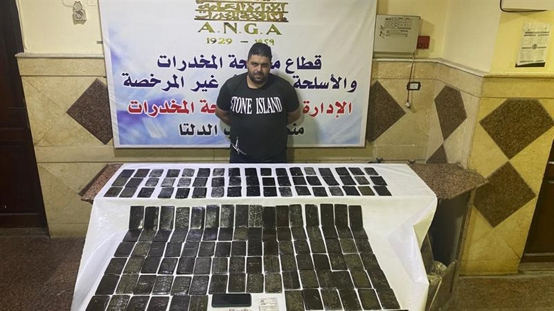 مخدر الحشيش 