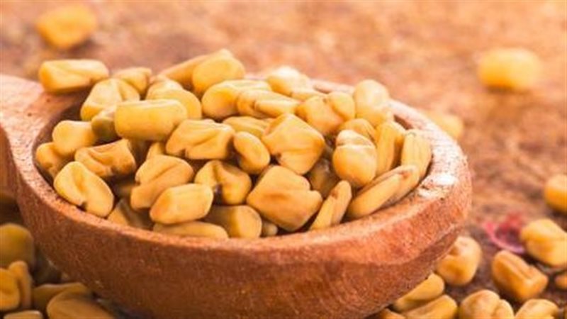 فوائد الحلبة