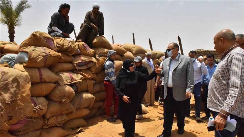 توريد القمح بأسيوط