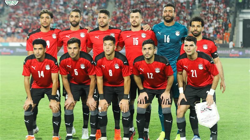 استاد الإسكندرية