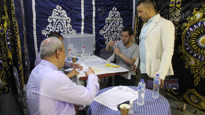 انتخابات المحامين،