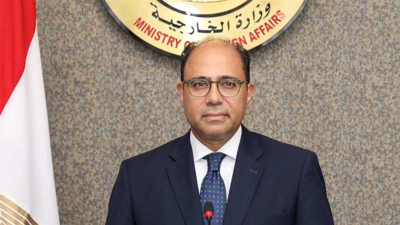 السفير أحمد أبو زيد