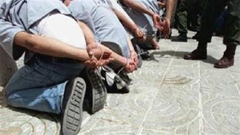 ضبط عصابة