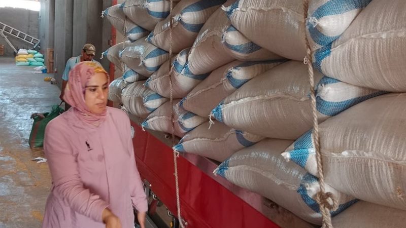حملات تموينية بالدقهلية