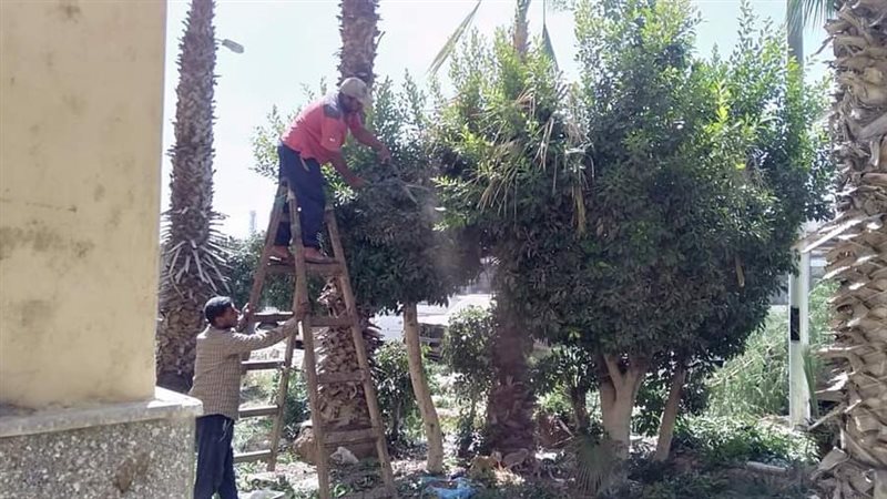 حملة نظافة في الجيزة