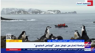 غرق نيويورك وطوكيو.. خبير يكشف تداعيات ذوبان جبل ثويتس الجليدي | فيديو 